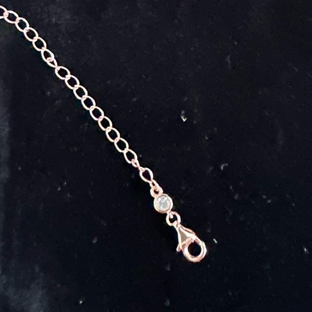 2 inch necklace extender with lobster claw lock.